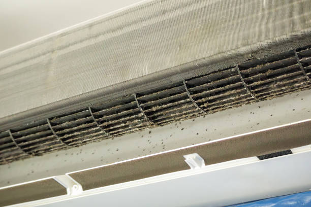 Best Duct Cleaning for Offices  in Dardenne Prairie, MO